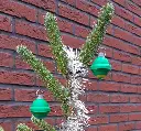 Sleutelhanger-veerbol-5.webp