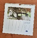 Kalender-05.webp