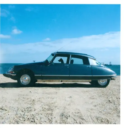 [W15988] Luxe-kaart "Driving Miss Tracey, a DS and a Dog" (met envelop)